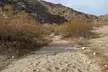 Phoenix South Mountain Hiking Tour Experience - Second Medium