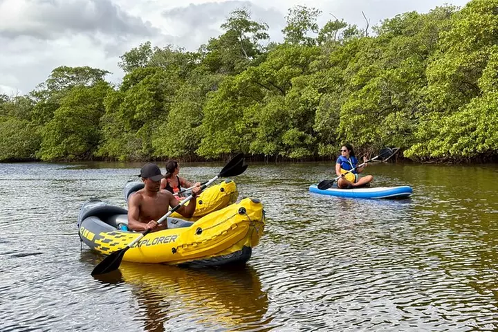 Fort Lauderdale: Kayak/SUP on Mangroves w/ Snacks & Drinks