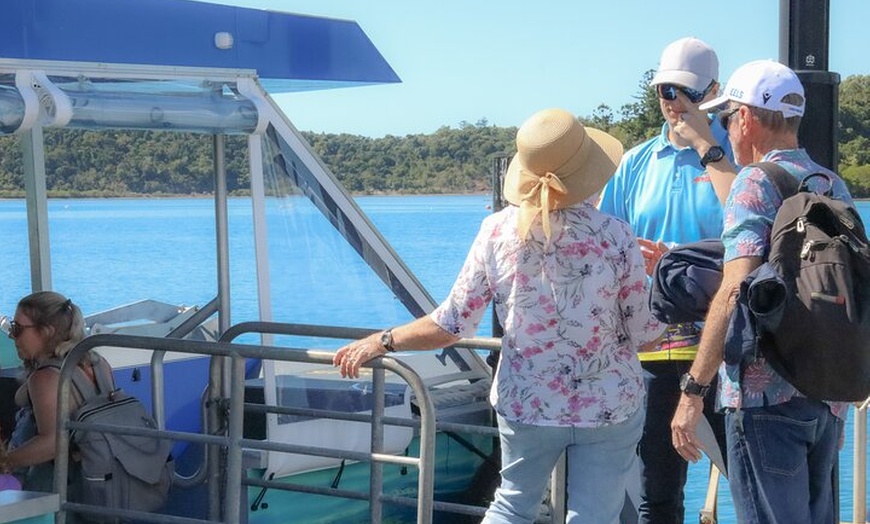 Image 16: Airlie Beach Glass Bottom Boat Tour