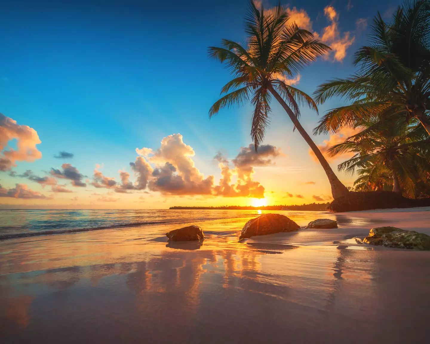 ✈ DOMINIKANISCHE REPUBLIK | Punta Cana - Das Wichtigste über die Do...