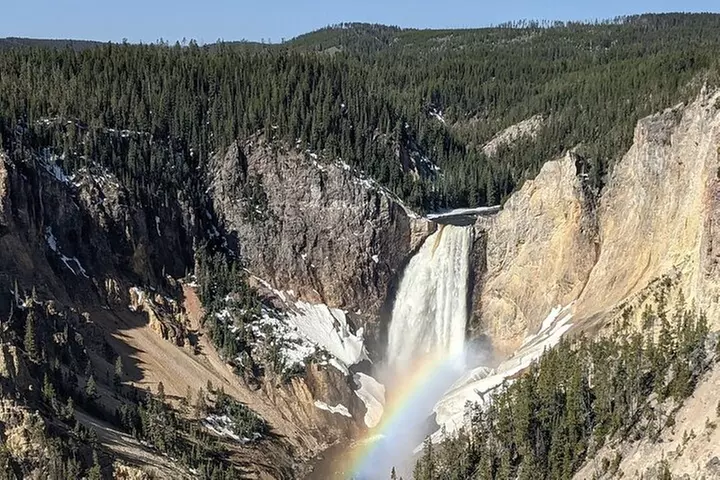 Yellowstone in a Day Private Guided Tour