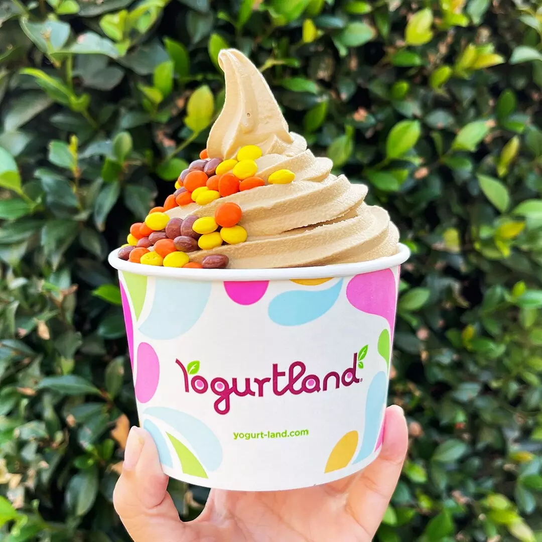 $10 For $20 Worth Of Frozen Yogurt