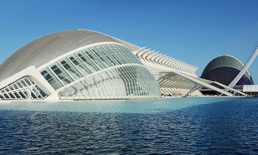Image 7: Tour privado de Valencia por los lugares más destacados