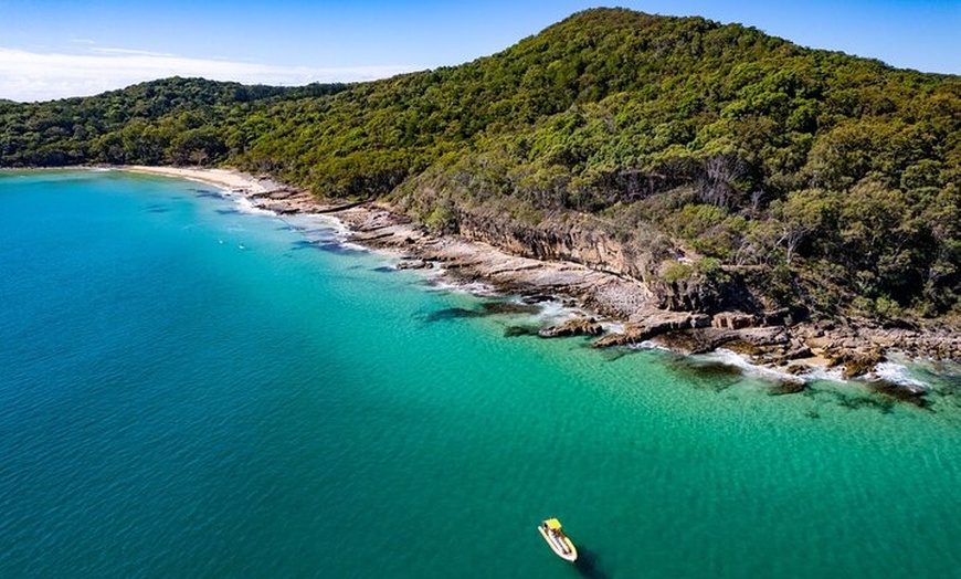 Image 2: Noosa ocean adventure & Dolphin safari.