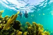 Private Boat Ride & Snorkeling Tour In Puerto Morelos - Second Medium