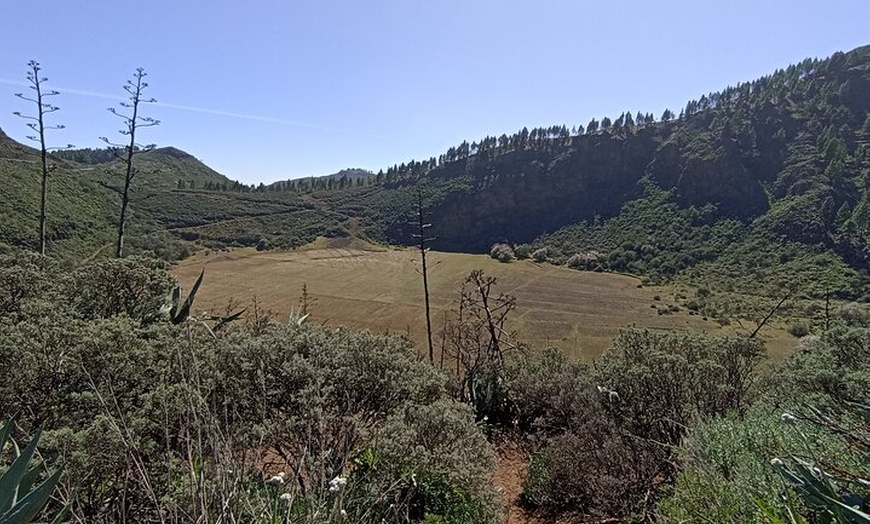 Image 22: Gran Canaria Premium Tour: Volcanes y Vino para cruceristas