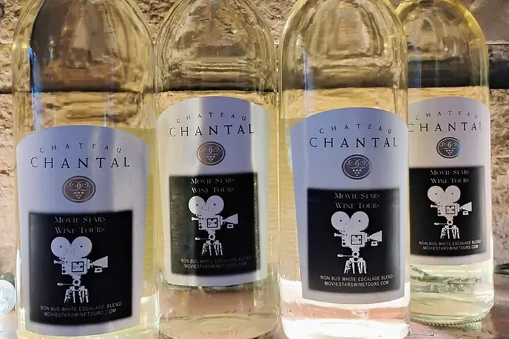 NON BUS 4 Winery Traverse City Wine Tour on Old Mission Peninsula