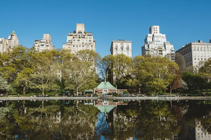 Private NYC Highlights Tour Times Square Central Park and More