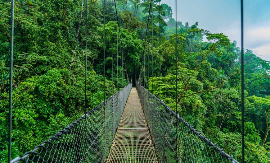 Image 12: ✈ COSTA RICA | San José - De la jungle aux côtes du Pacifique - Aut...