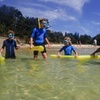 Image 11: Snorkeling Adventure for Kids with Private Guide In Sydney