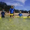 Image 11: Snorkeling Adventure for Kids with Private Guide In Sydney