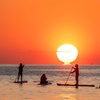 Image 16: Barcelona : Sunrise Paddle Surf con Instructor y Fotos
