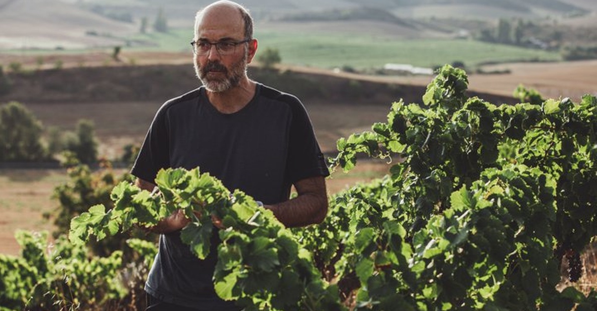Visita privada a bodega con cata de vinos en Pamplona