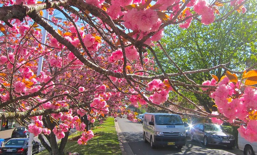 Image 6: Blue Mountain Tour with Hop on and Hop Off Bus