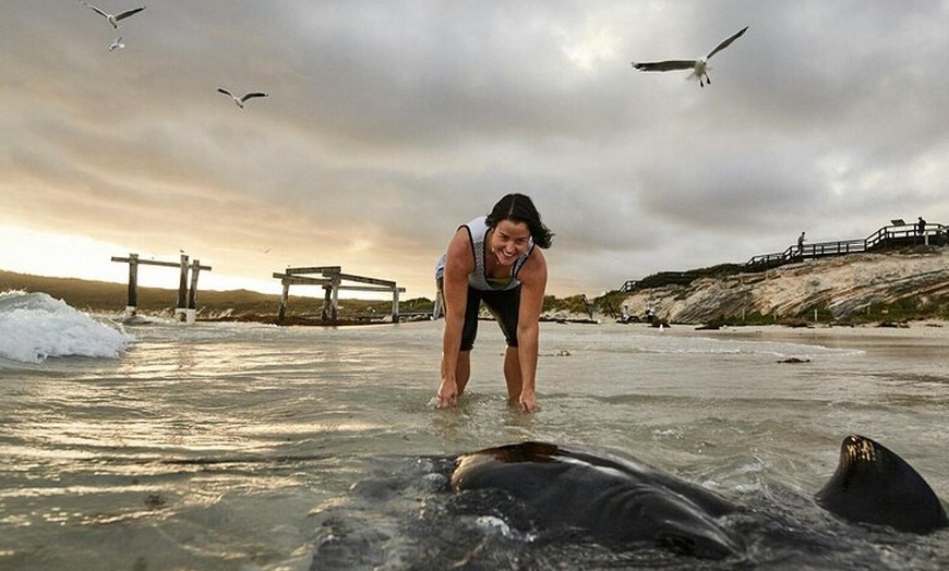 Image 7: 2 Day Perth to Busselton and Margaret River Tour