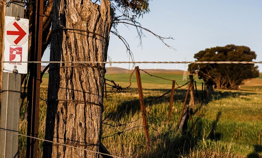 Image 29: Burra Township to Mount Bryan History and Landscape Day Tour