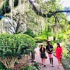 Image 8: New Orleans in a Day: Includes 75-Minute Riverboat Cruise