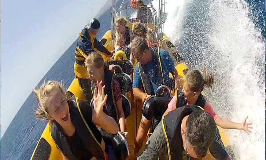 Image 12: Avistamiento de Delfines y Baño en Playa de Papagayo Lanzarote