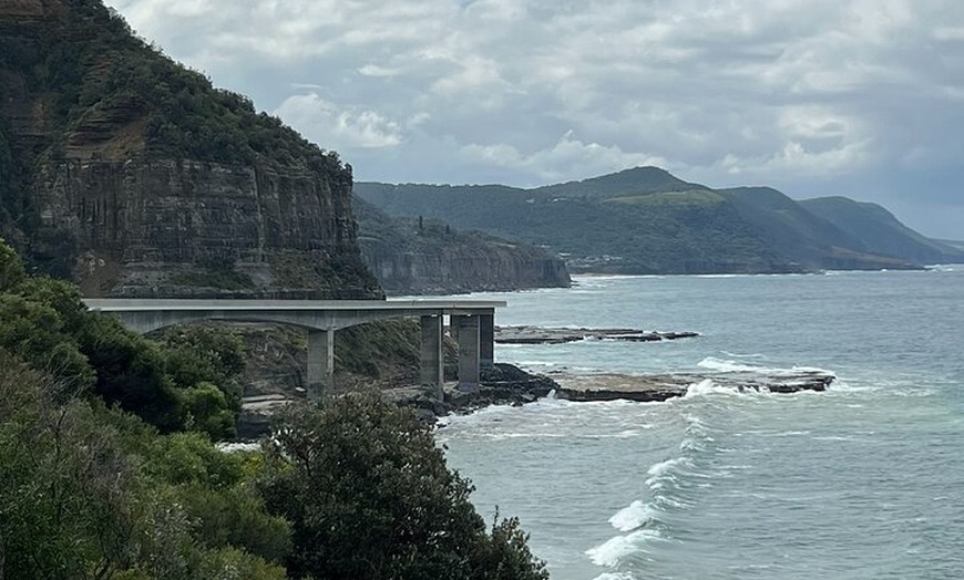 Image 18: South Coast Private Tour & Royal National Park Inc