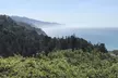 Big Sur Sightseeing Tour - Second Medium