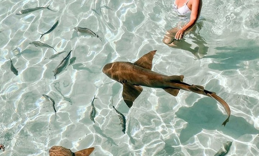 Image 13: Ultimate Exuma Cays Experience: Full-Day Group Tour from Nassau
