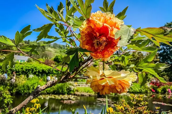 Demi-journée guidée à Giverny Monet depuis Paris