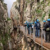 Image 18: Excursión de un día al Caminito del Rey desde la Costa del Sol