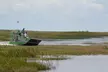 Miami: 90 Minute Private Everglades Airboat Ride - Second Medium