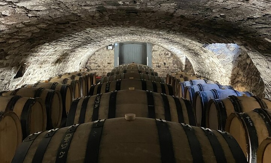 Image 4: Excursion privée d'une journée à Chablis et aux vins de Bourgogne a...