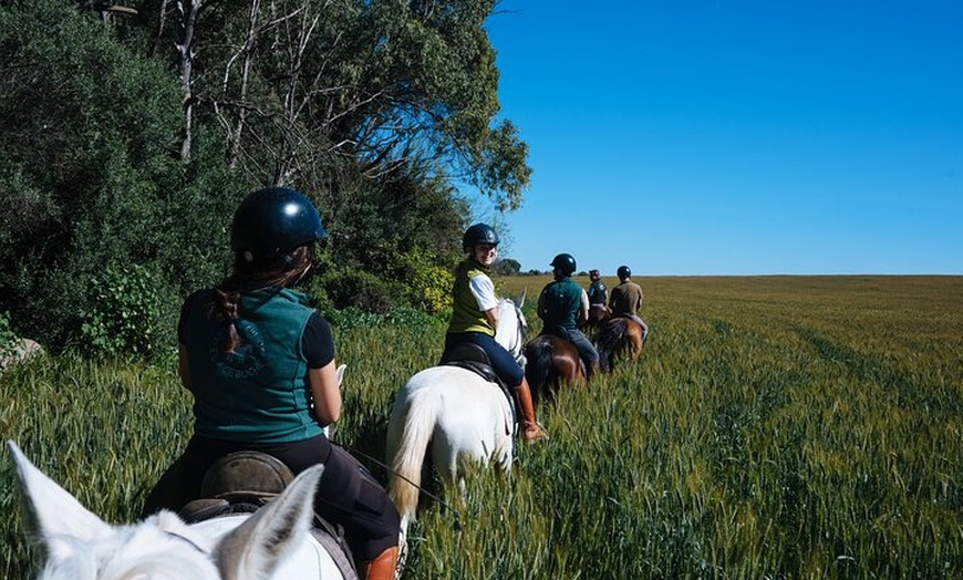 Image 11: Paseos a caballo por el Parque Nacional de Doñana