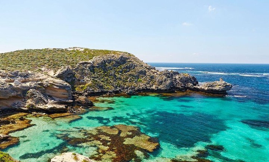 Image 6: Rottnest Island Bayseeker Day Trip from Fremantle