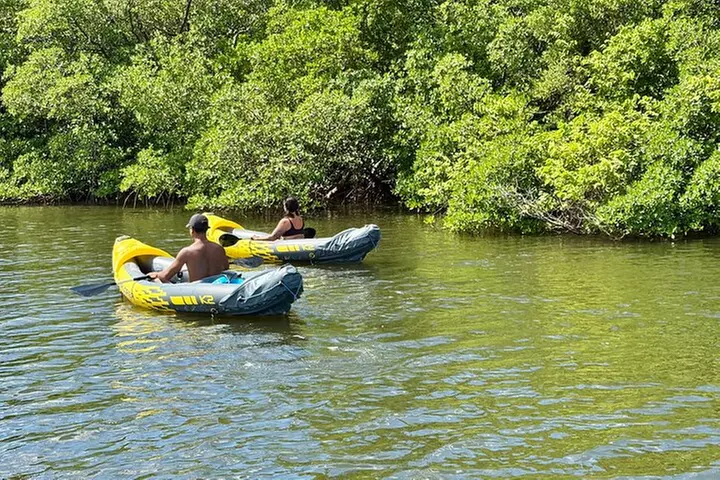 Fort Lauderdale: Kayak/SUP on Mangroves w/ Snacks & Drinks