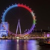 Image 1: London by Night: Luxurious Panoramic Private Tour