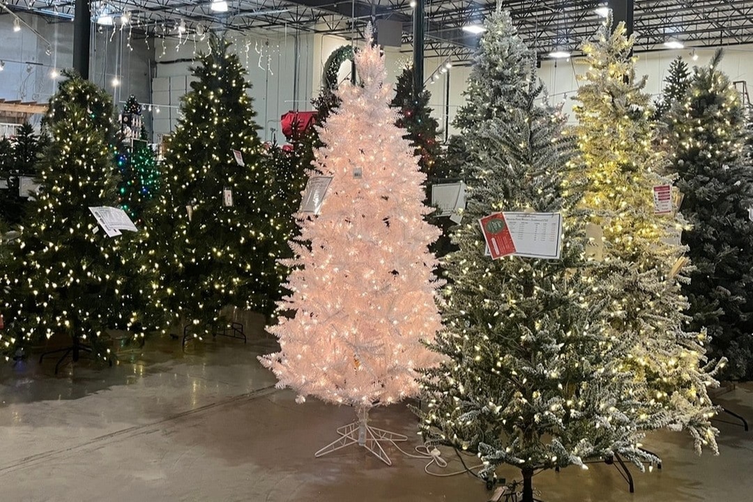 $50 For $100 Worth Of Holiday Decor