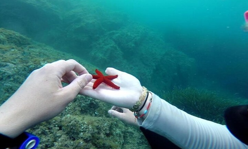 Image 5: Baptême de Plongée dans la Calanque Saint-Barthélemy