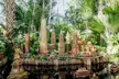 Holiday Tea Experience & NYBG Holiday Train Show - Second Medium