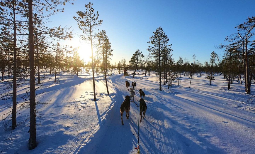 Image 3: ✈ FINLANDE | De Helsinki à Rovaniemi - Aventure Polaire & Igloo 3*,...
