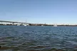 Clearwater 5-Hour Private Boat Charter – Dolphins & Island Hops - Second Medium