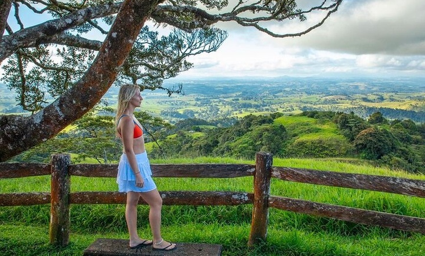Image 5: 2 Days Tour on Atherton Tablelands and Cape Tribbin