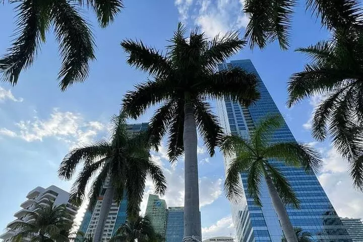 Start Here!! Traveler's Guide to Experience Miami 6-hour Tour