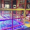 Image 2: $10 For 2 Children Toward The Jungle Gym 2 hour Day Pass (Reg $20.) 