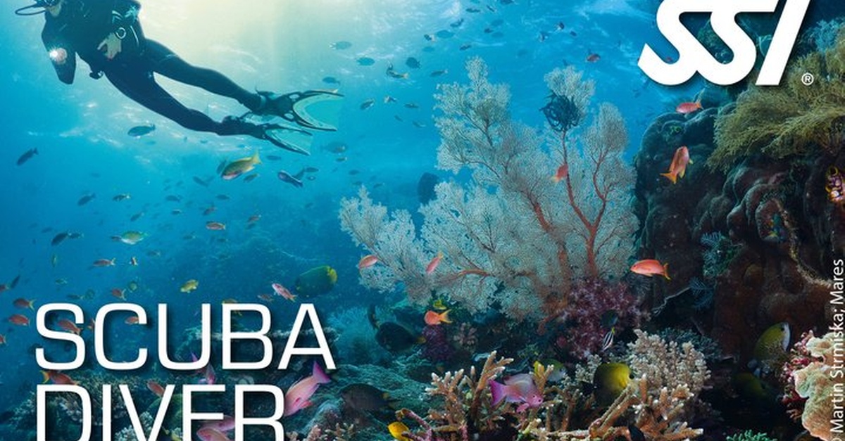 Curso de buceo en Palma de Mallorca