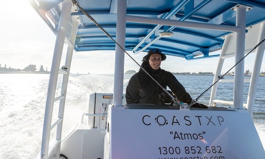Image 32: Humpback Whale Encounter Tour from Newcastle