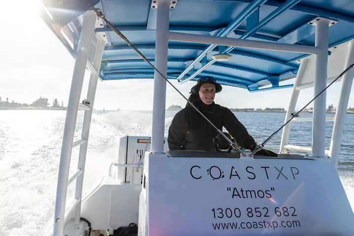 Humpback Whale Encounter Tour from Newcastle