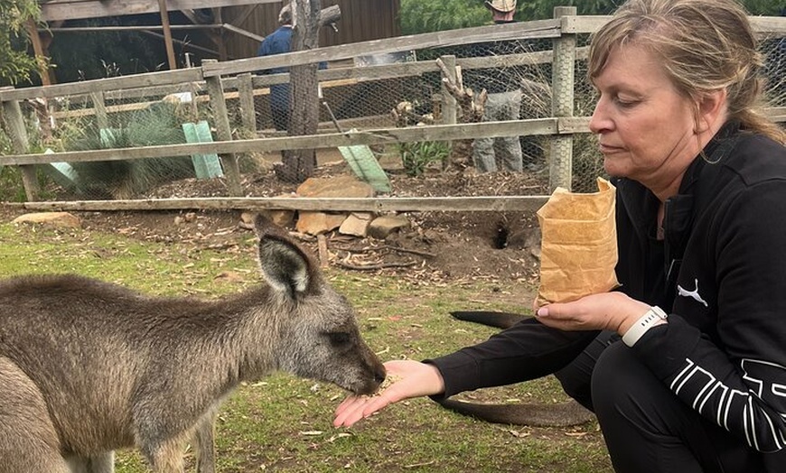 Image 3: 3 Day Private Tour in Tasmania