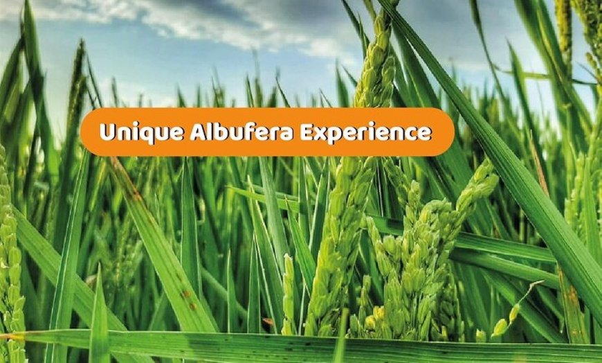 Image 5: El Tour Original de la Albufera : Barraca, Paseo en Barco & Guía Local