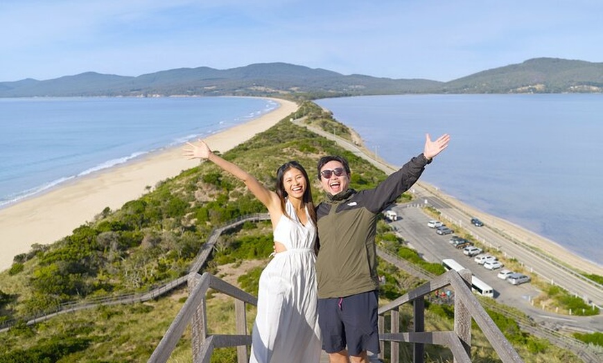 Image 9: Bruny Island Food, Sightseeing, Guided Lighthouse Tour & Lunch