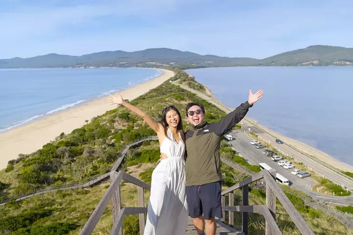 Bruny Island Food, Sightseeing, Guided Lighthouse Tour & Lunch