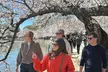 Skip the Line @ Washington Monument & National Mall Walking Tour - Second Medium