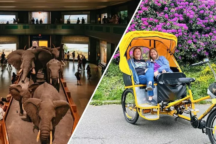 Central Park Pedicab Tour with Optional Natural History Tickets - Primary Image